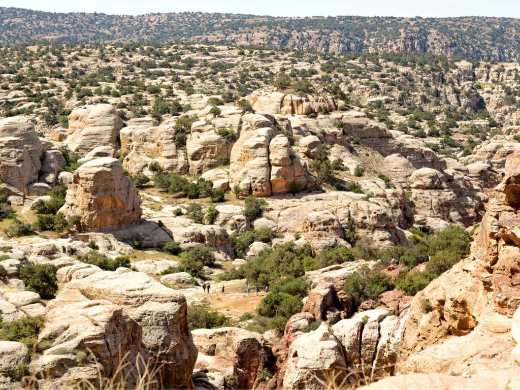 shutterstock 687042388