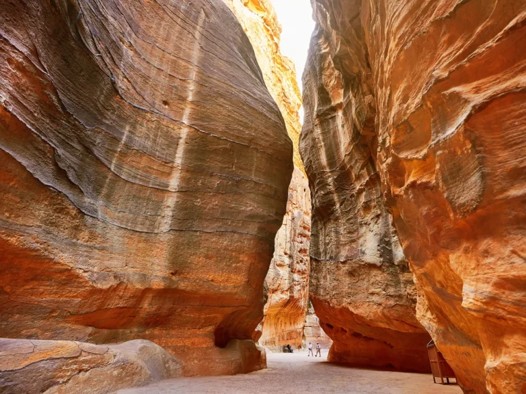 shutterstock 517680412